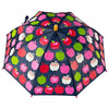 Apples and Rain Umbrella